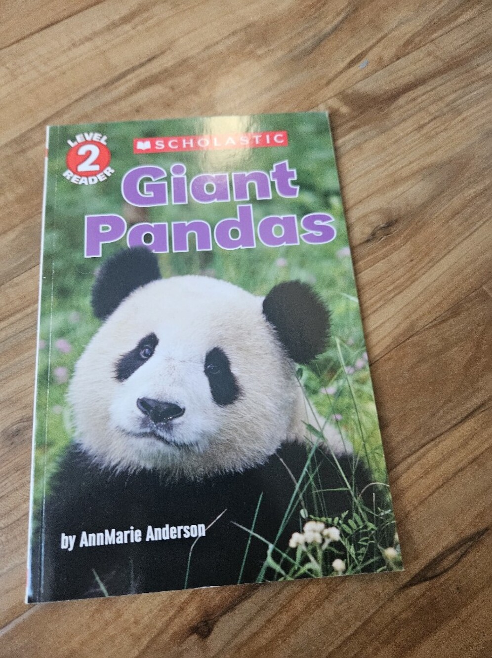 Giant Panda Scholastic Easy Reader